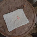 Шипков несесер