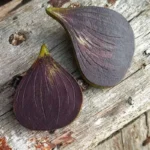 Смокинови обеци